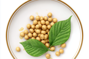 Сертификация сои